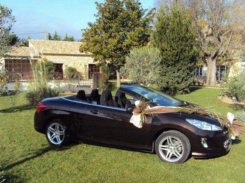 Mas Sous le Marronnier_84300 CAVAILLON_7